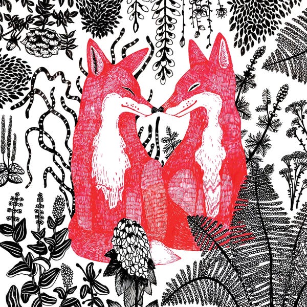 Loving Red Foxes