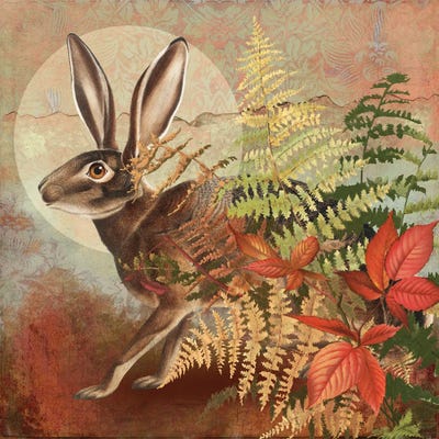 Canvas Print: Autumn Hare in Ferns by Marja Van Den - thumbnail