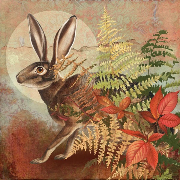 Autumn Hare in Ferns
