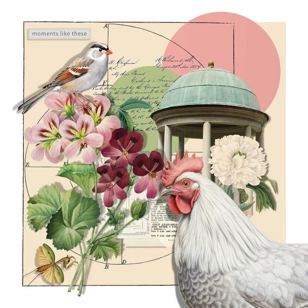Garden Whimsy Collage