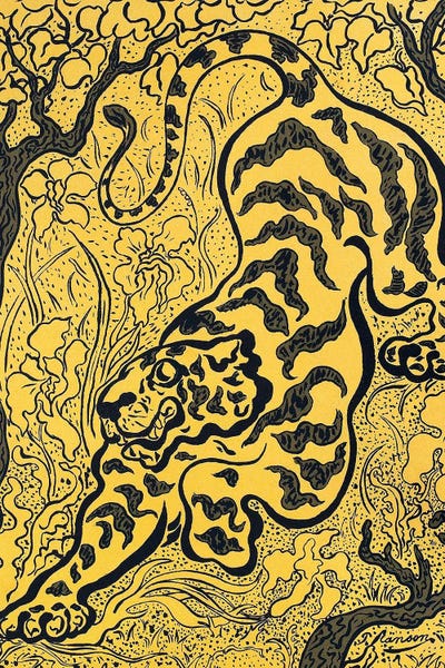 Tigre Dans Les Jungles