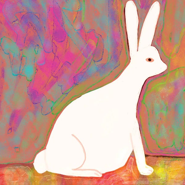 Colorful White Rabbit