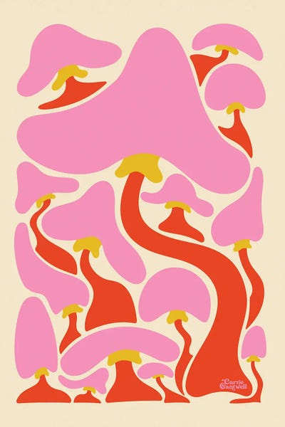 Groovy Mushrooms