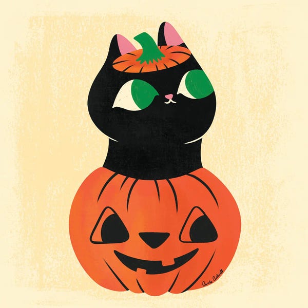 Pumpkin Cat