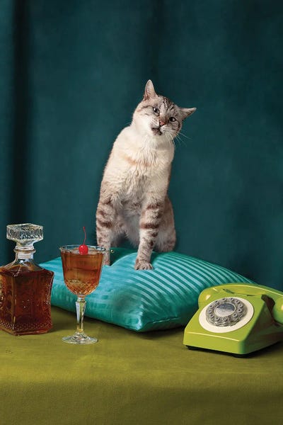 Funny Retro Cat
