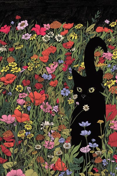 Black Cat Flower Field