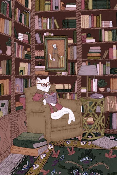 Cozy Library Cat
