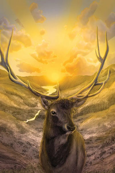 Majestic Elk Sunset