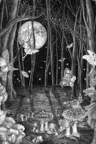 EC Mazur: Moonlit Forest Glow by EC Mazur
