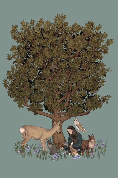 Peaceful Forest Gathering