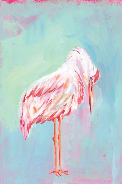 Gentle Pink Ibis