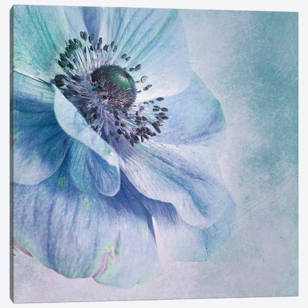 Shades Of Blue Canvas Print #OXM925} by Priska Wettstein Canvas Wall Art