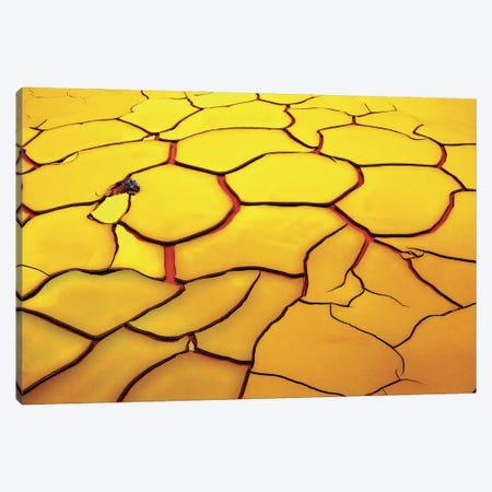 Yellow Ground, Red Heart Canvas Print #OXM92} by E. de Juan Canvas Wall Art
