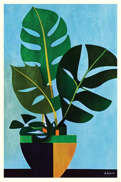 Modern Potted Monstera