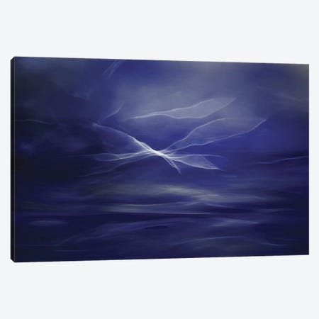 Flight Of The Fairies Canvas Print #OXM93} by Willy Marthinussen Canvas Art