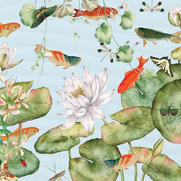 Water Lily Pond Life