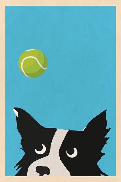Border Collie Tennis Ball