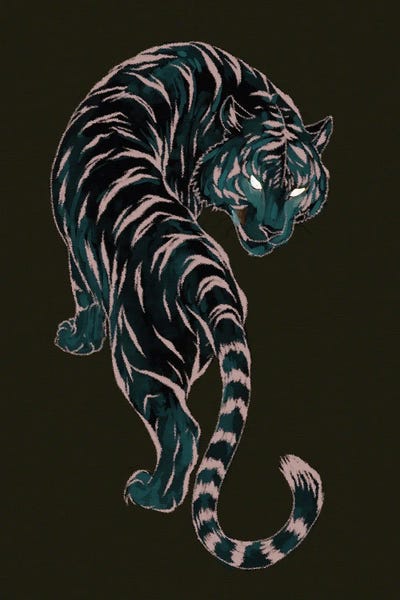 Dark Tiger Gaze