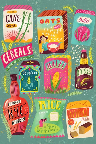 Essential Grains Collection