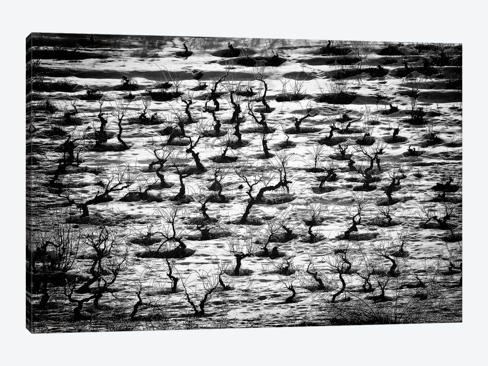 Tortured Souls 1-piece Canvas Print