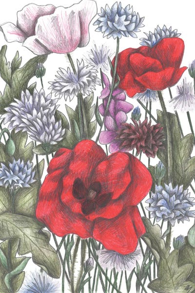 All Greens - Canvas Prints: Red Poppies Blue Cornflowers by Cecilia Battaini