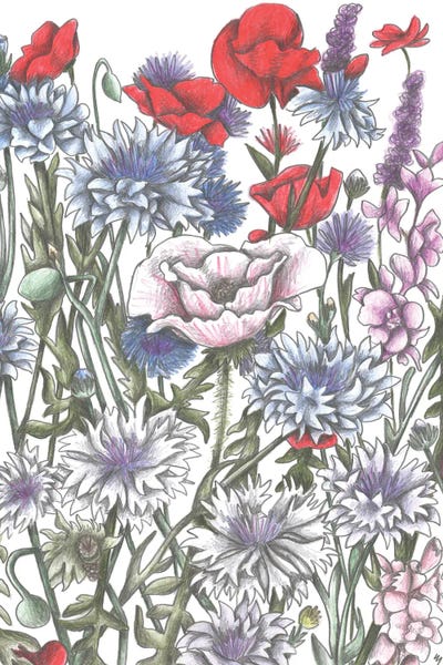 All Greens - Canvas Prints: Summer Flower Meadow by Cecilia Battaini