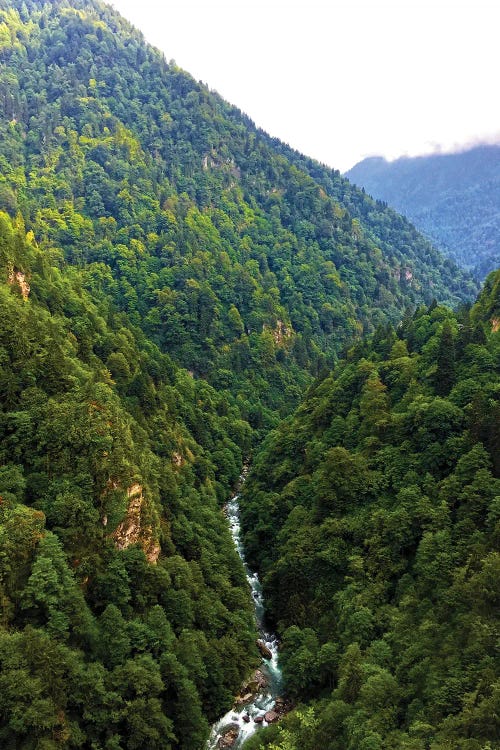 Rize Ayder Plateau