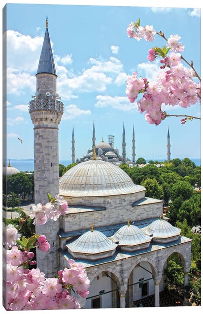 Sultanahmet Mosque Canvas Art Print - Istanbul Art