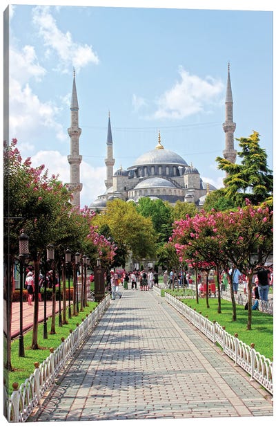 Sultanahmet Istanbul I Canvas Art Print - Blue Mosque