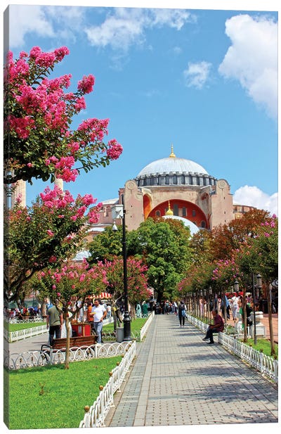 Hagia Sophia I Canvas Art Print - Mustafa Tayfun Özcan