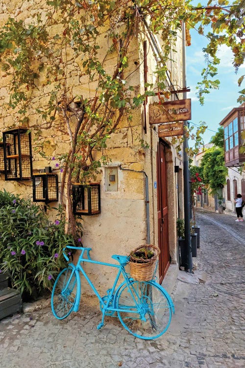 Alacati Bicycle