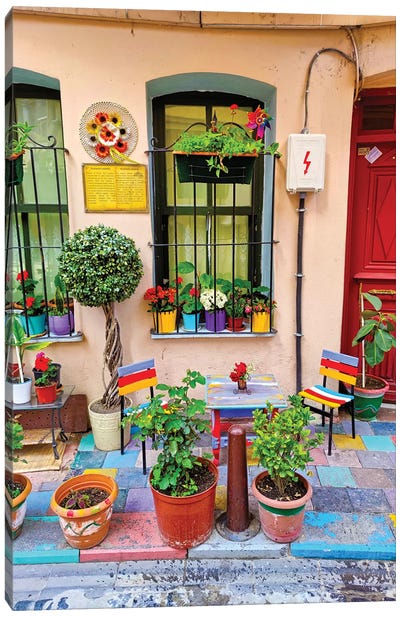 Balat Houses Color Canvas Art Print - International Cuisine