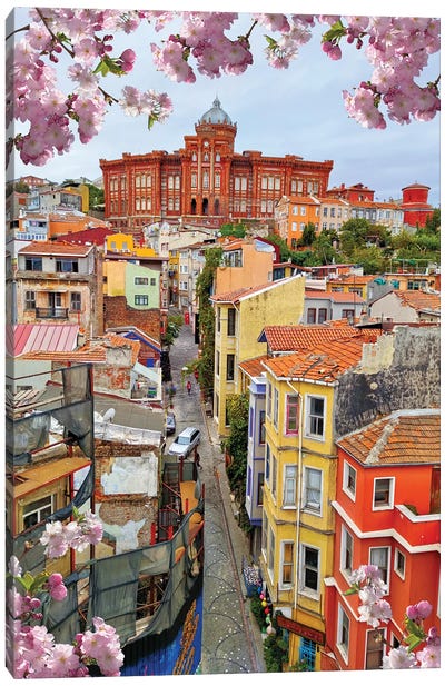Balat Rooftop Canvas Art Print - Out & About