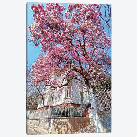 Bebek Pink Flower House Canvas Print #OZC29} by Mustafa Tayfun Özcan Canvas Art