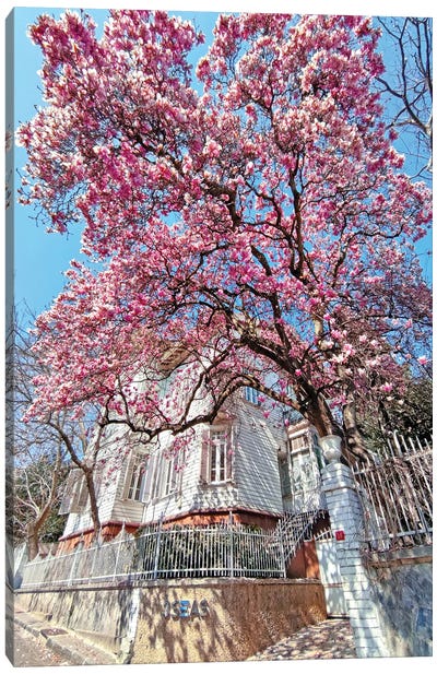 Bebek Pink Flower House Canvas Art Print - Istanbul Art