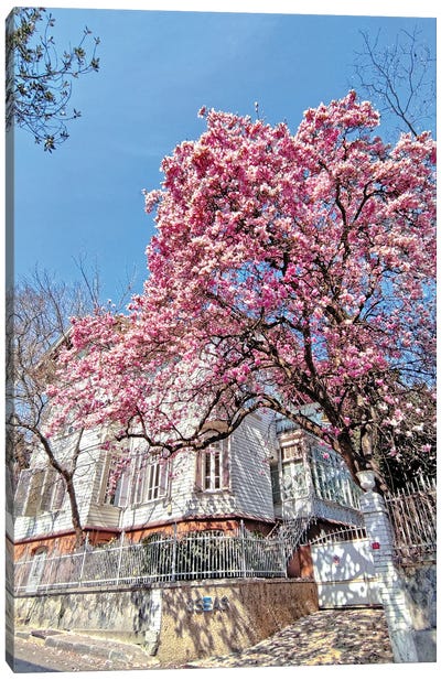 Bebek Pink Flower House I Canvas Art Print - Istanbul Art