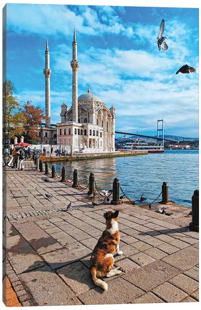 Ortakoy Mosque And Dog Canvas Art Print - Istanbul Art