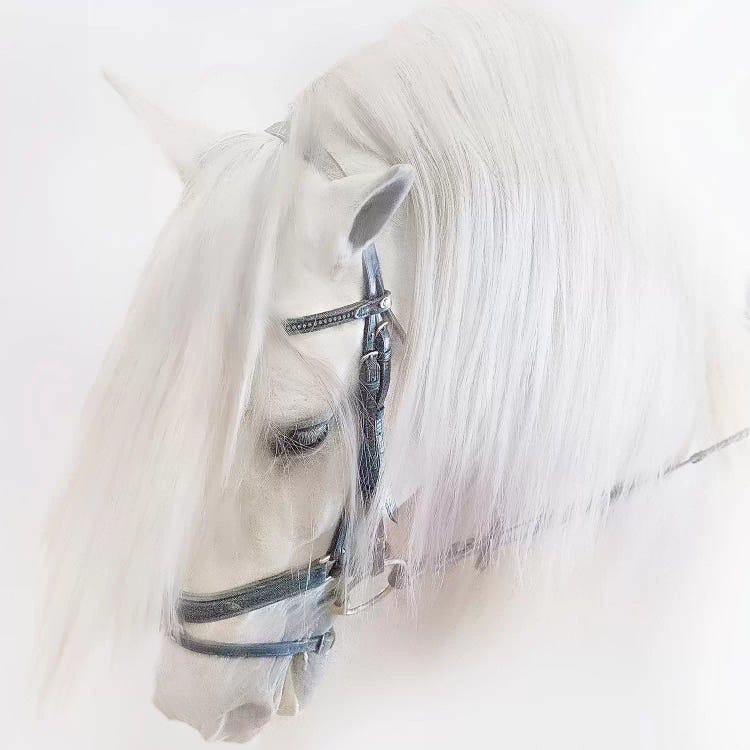 Purebred III by Ozana Sturgeon wall art