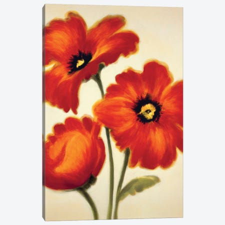 Orange Poppies Canvas Print #PAB1} by Paula Benson Art Print