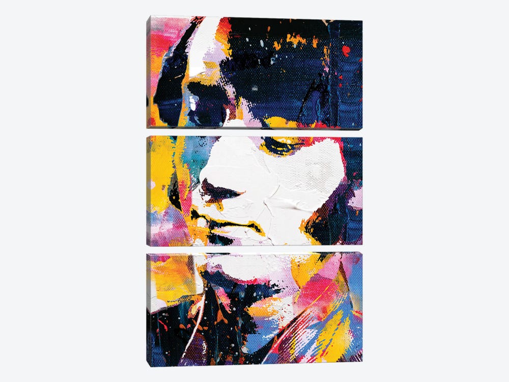 Inspired By Mike Nesmith by The Pop Art Factory 3-piece Canvas Artwork