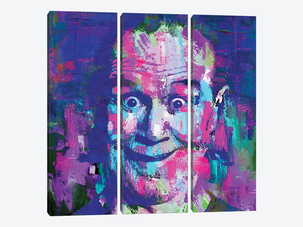 Comedian Carlin by The Pop Art Factory 3-piece Canvas Print