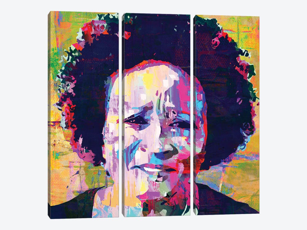Comedian Wanda by The Pop Art Factory 3-piece Canvas Art