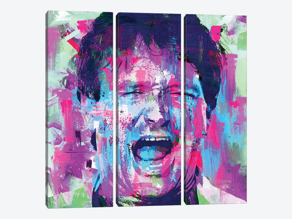 Comedian Williams by The Pop Art Factory 3-piece Canvas Artwork