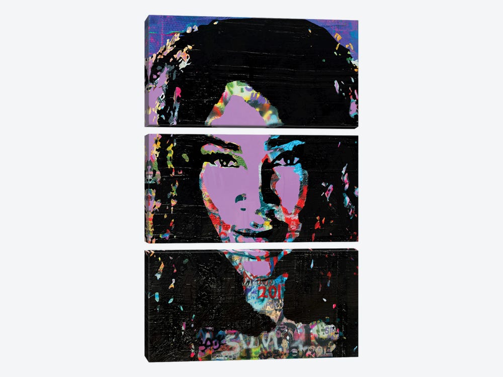 Serena Williams Portrait II by The Pop Art Factory 3-piece Canvas Artwork
