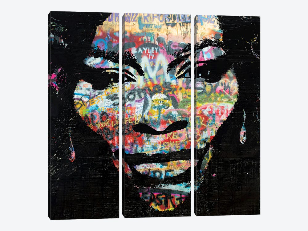 Serena Williams Portrait IV by The Pop Art Factory 3-piece Canvas Artwork