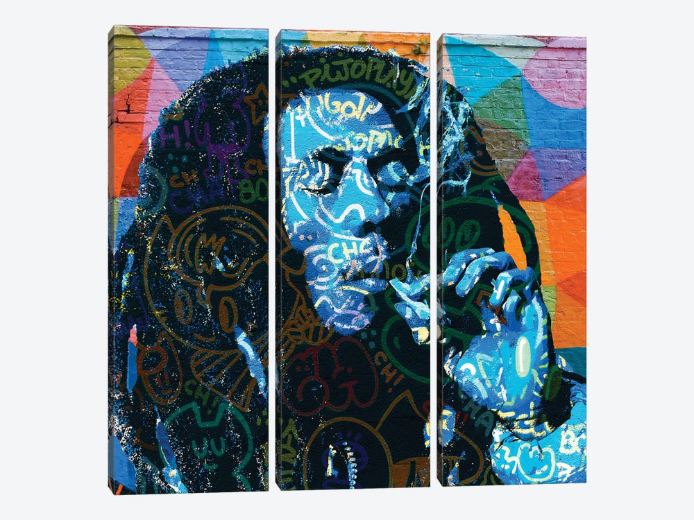 Bob Marley Graffiti by The Pop Art Factory 3-piece Art Print