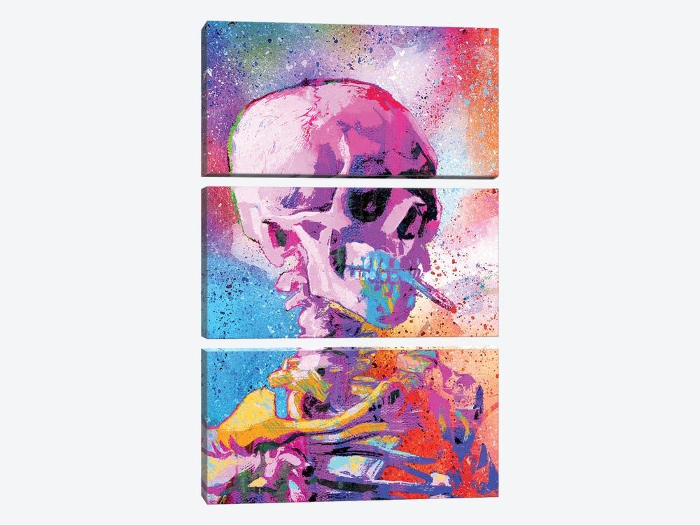 Skull by The Pop Art Factory 3-piece Canvas Artwork