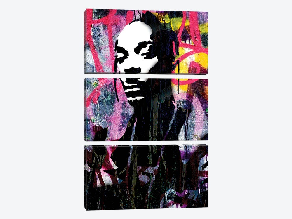 Inspired By Rapper Snoop by The Pop Art Factory 3-piece Art Print