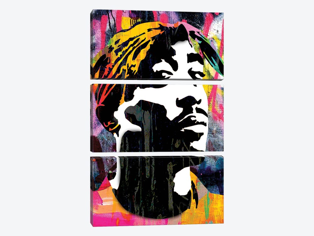 Inspired By Rapper Tupac by The Pop Art Factory 3-piece Canvas Artwork