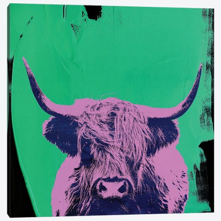 Highland Cow V Canvas Print #PAF66} by The Pop Art Factory Canvas Print